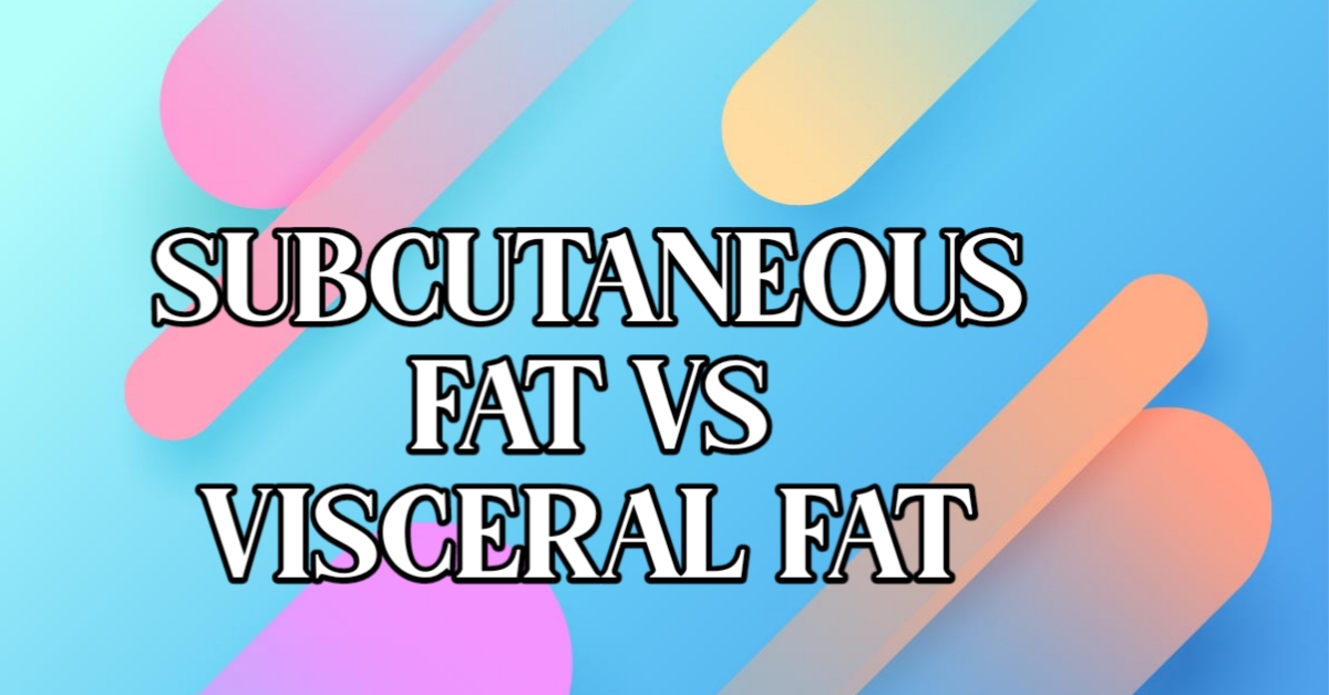 What is Subcutaneous fat